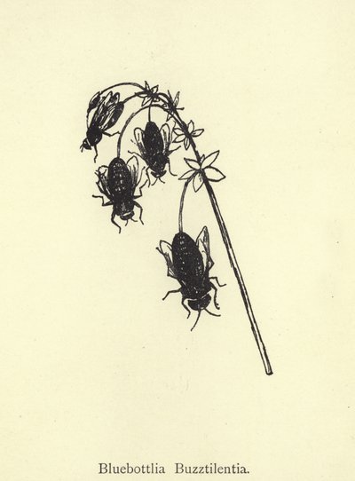 Bluebottlia Buzztilentia by Edward Lear